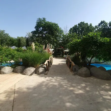 Harmony 11 Grand Słoneczny Brzeg